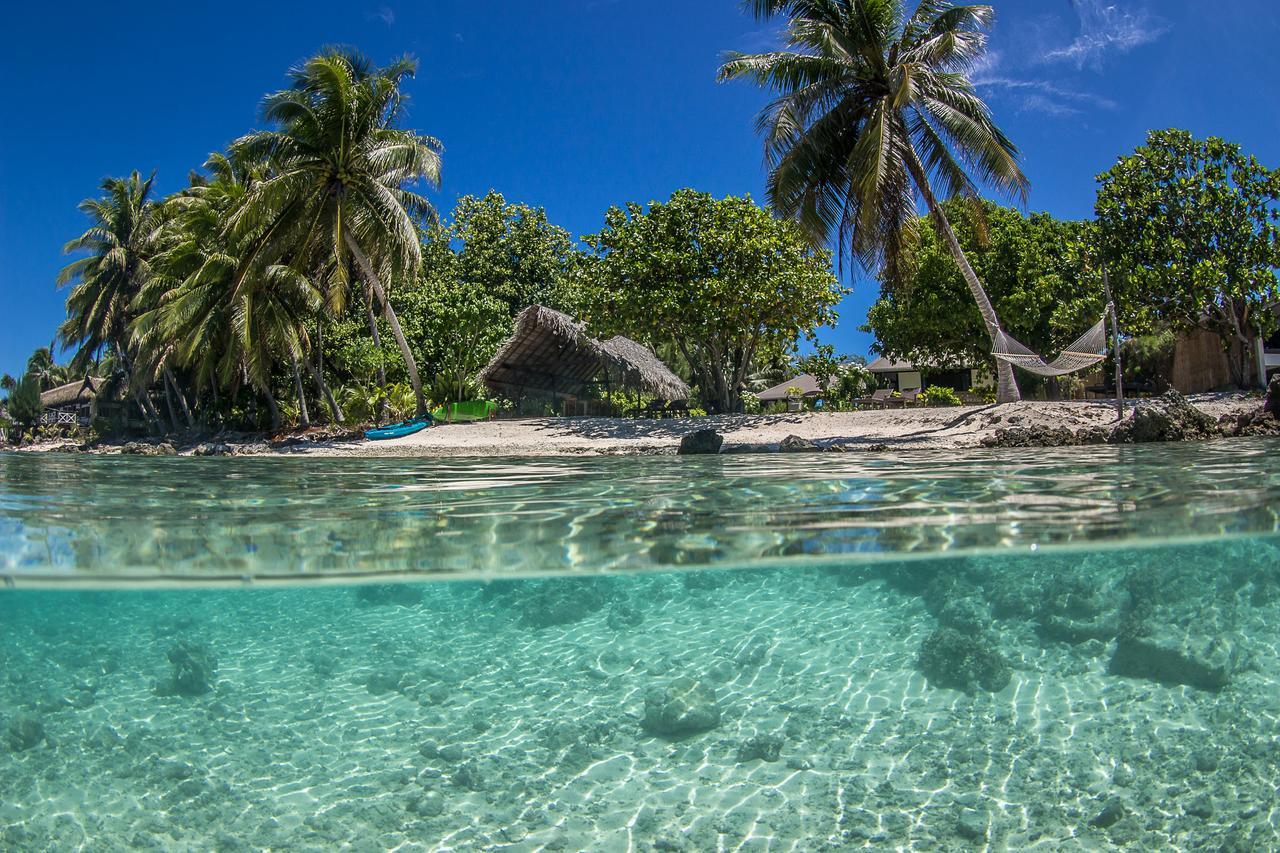 Le Coconut Lodge Аватору Экстерьер фото